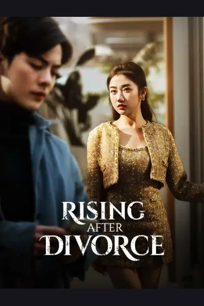 Pôster de Rising After Divorce