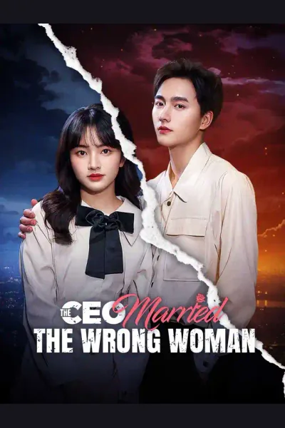 Póster de The CEO Married the Wrong Woman