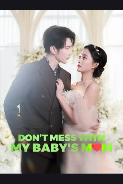 Póster de Don’t Mess With My Baby's Mom