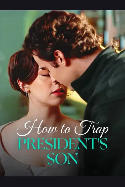 Affiche de How To Trap President's Son