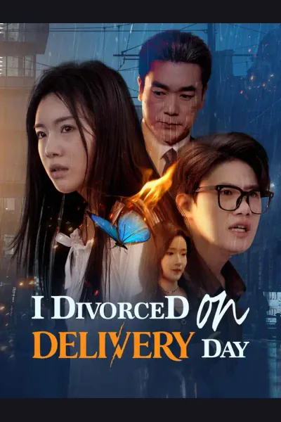 Affiche de I Divorced on Delivery Day