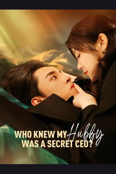 Who Knew My Hubby Was A Secret CEO? poster