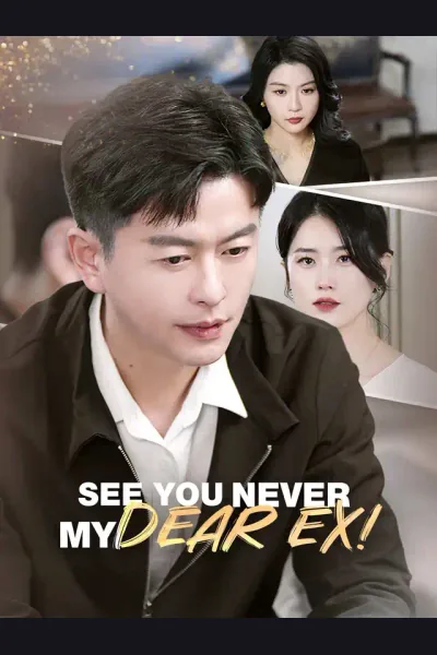 Póster de See You Never, My Dear Ex!