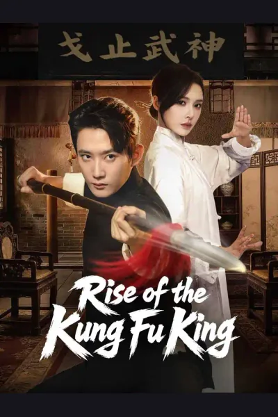 Affiche de Rise of the Kung Fu King