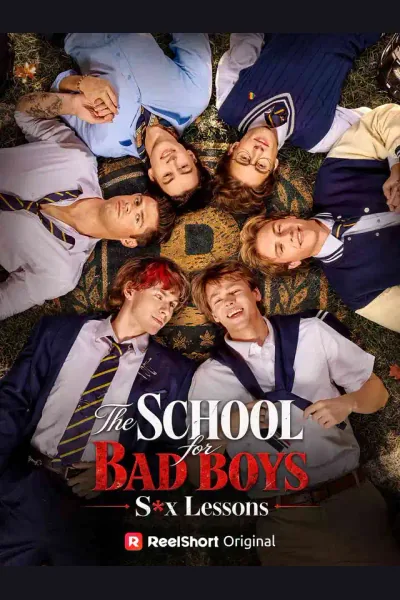 School for Bad Boys: S*x Lessons poster
