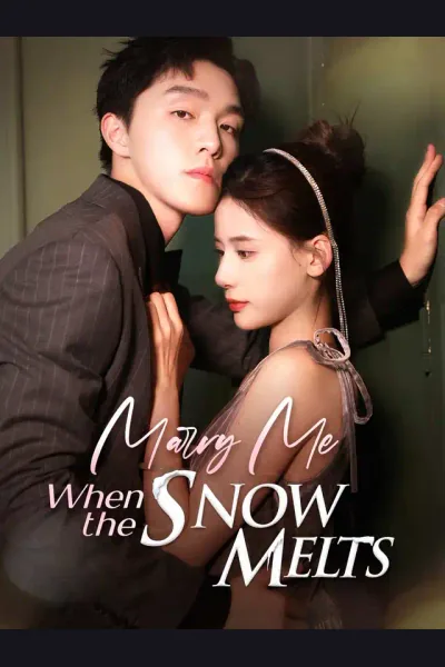 Póster de Marry Me When the Snow Melts