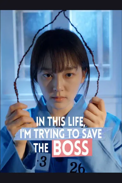 Póster de In This Life, I'm Trying To Save The Boss