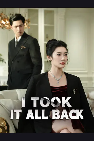 Affiche de I Took It All Back