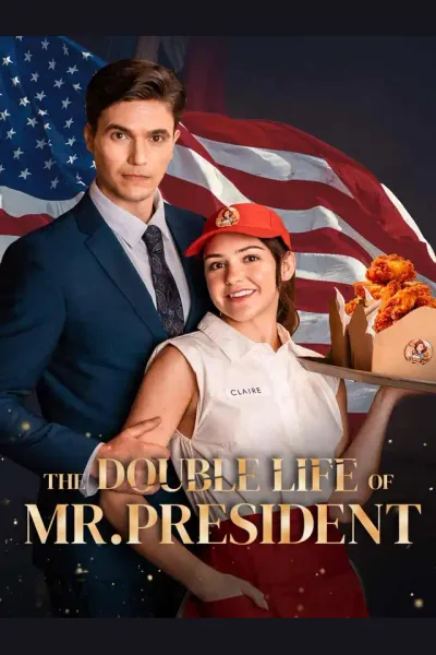 Affiche de The Double Life of Mr President