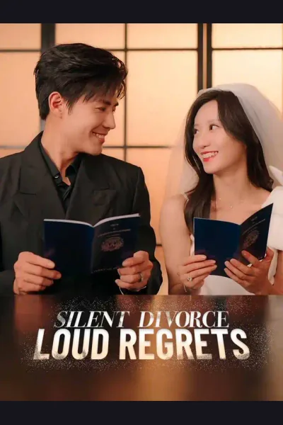 Póster de Silent Divorce, Loud Regrets