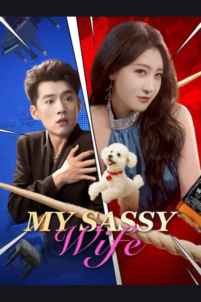 Póster de My Sassy Wife