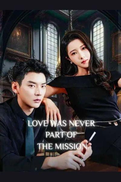 Affiche de Love Was Never Part of the Mission