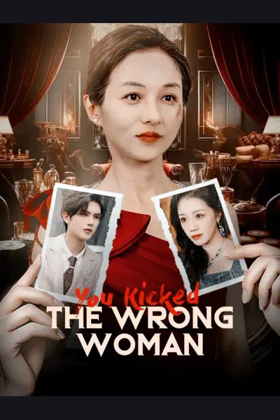 You Kicked the Wrong Woman poster
