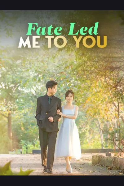 Affiche de Fate Led Me to You