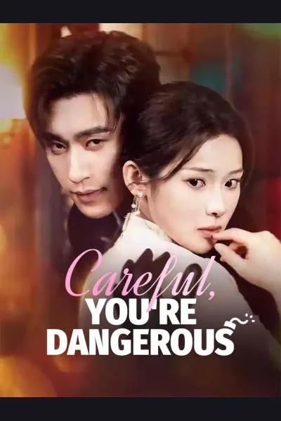 Careful, You're Dangerous poster
