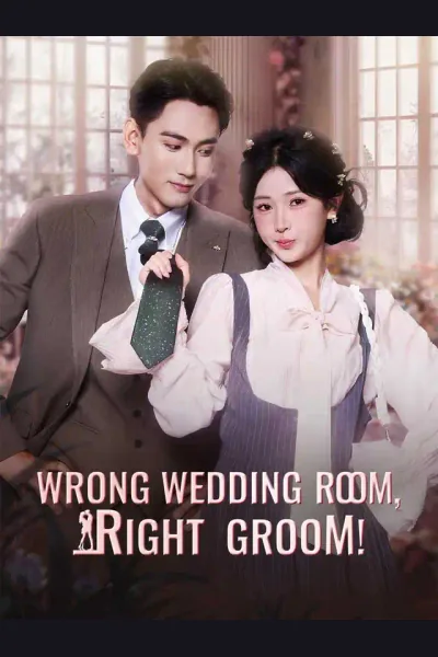 Wrong Wedding Room, Right Groom! poster