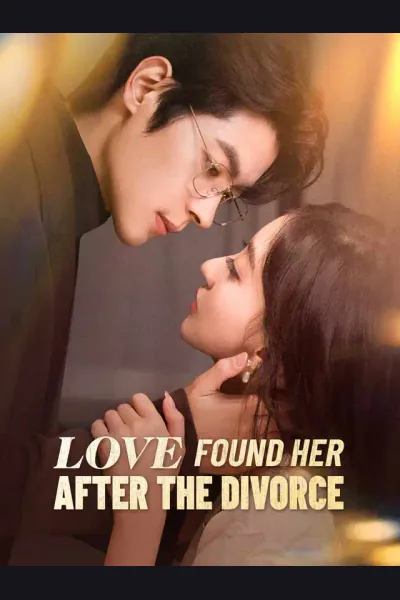 Love Found Her After the Divorce poster