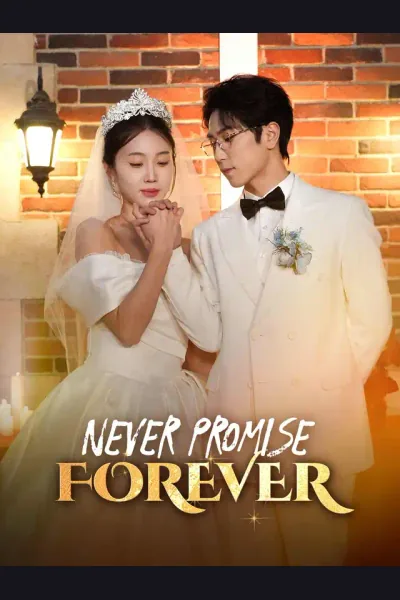 Póster de Never Promise Forever