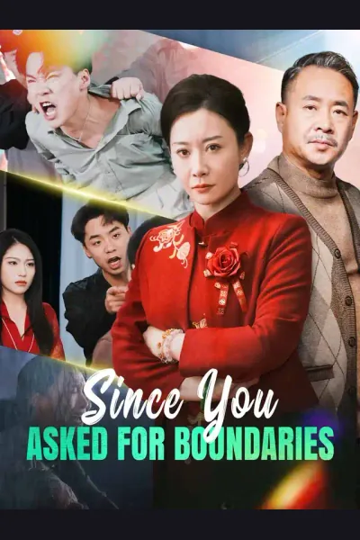 Póster de Since You Asked for Boundaries
