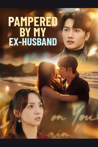 Póster de Pampered by My Ex-husband