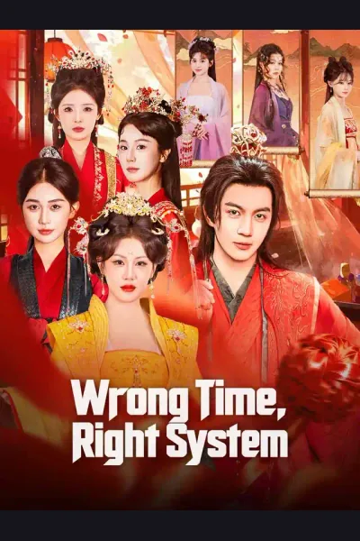 Póster de Wrong Time, Right System