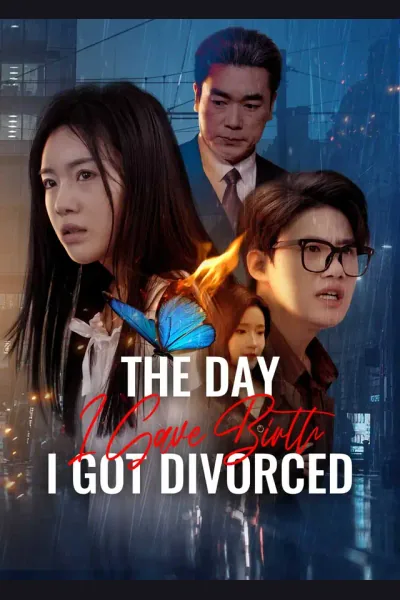 Pôster de The Day I Gave Birth, I Got Divorced
