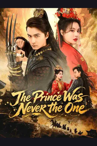Affiche de The Prince Was Never the One