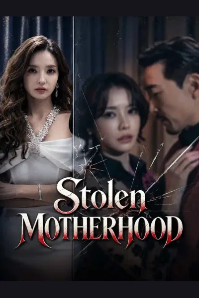 Pôster de Stolen Motherhood