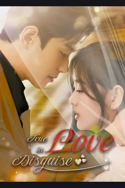Affiche de True Love In Disguise