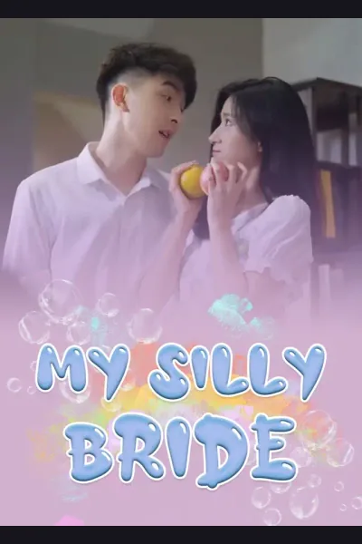 Affiche de My Silly Bride