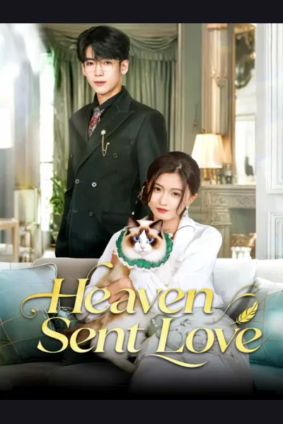 Affiche de Heaven Sent Love