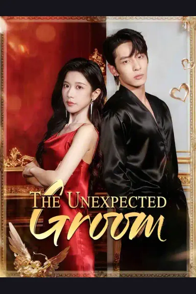 The Unexpected Groom poster