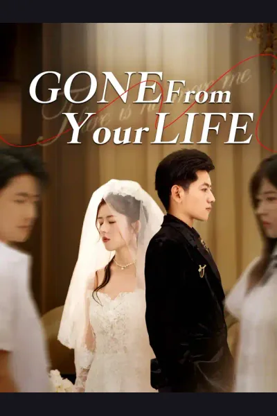 Affiche de Gone From Your Life