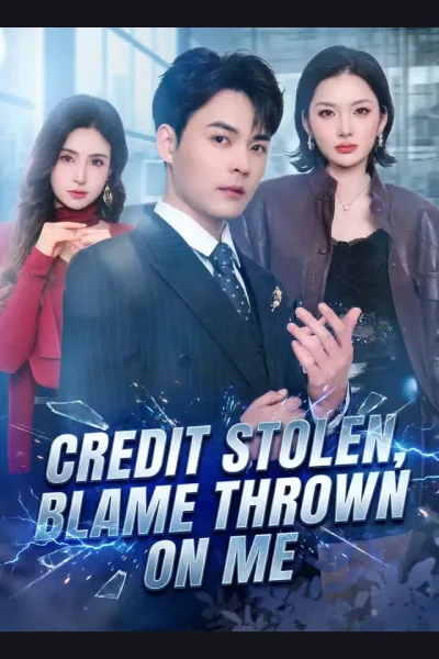 Affiche de Credit Stolen, Blame Thrown on Me
