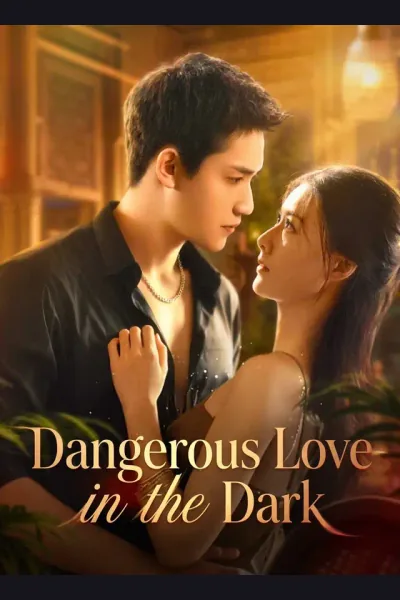 Dangerous Love in the Dark poster