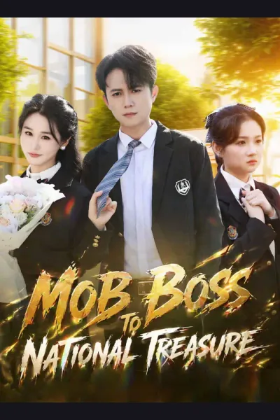 Mob Boss to National Treasure poster