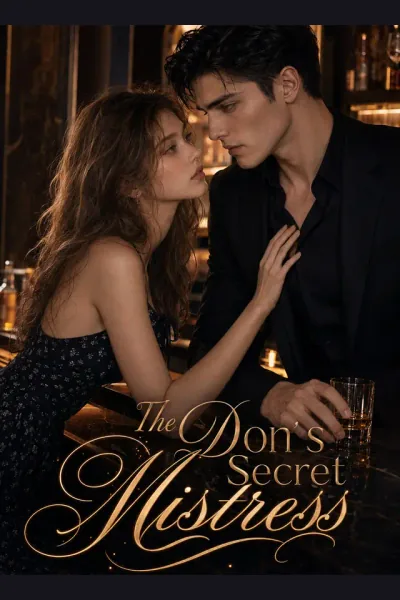 The Don's Secret Mistress poster