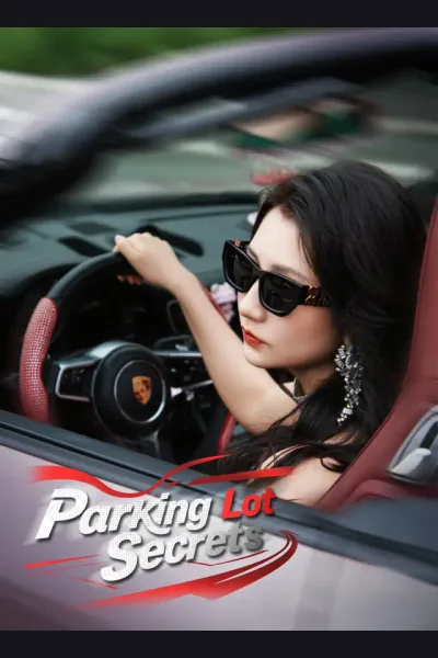 Parking Lot Secrets poster