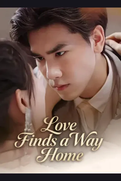 Póster de Love Finds a Way Home