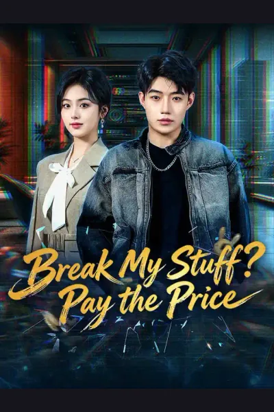 Póster de Break My Stuff? Pay the Price