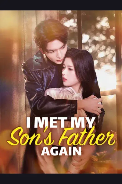 Póster de I Met My Son's Father Again