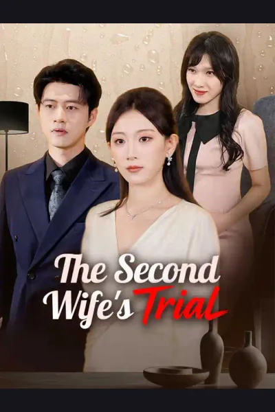 The Second Wife's Trial poster