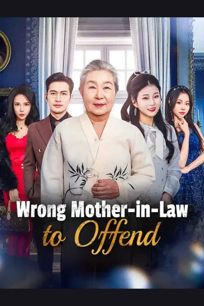 Pôster de Wrong Mother-in-Law to Offend