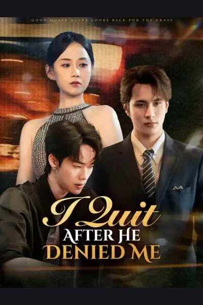I Quit After He Denied Me poster