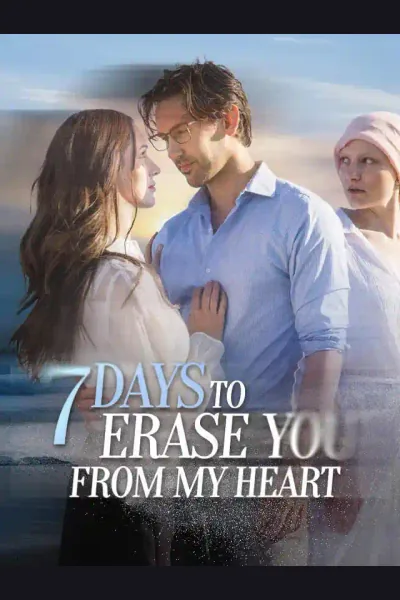 Affiche de 7 Days To Erase You From My Heart