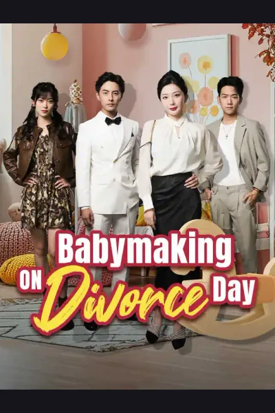 Póster de Babymaking on Divorce Day