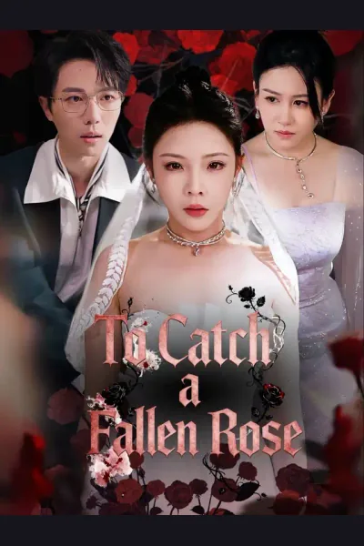 To Catch a Fallen Rose poster