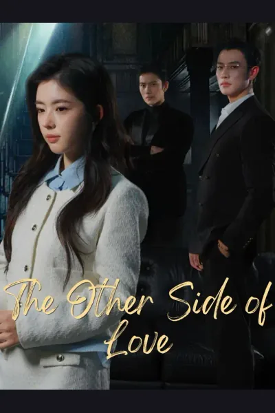 Póster de The Other Side of Love