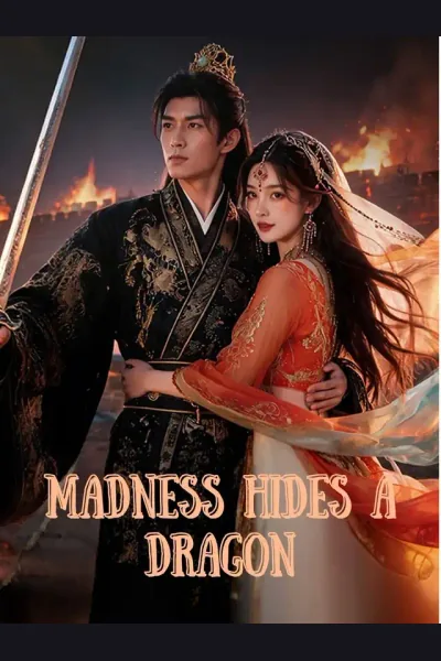 Madness Hides a Dragon poster