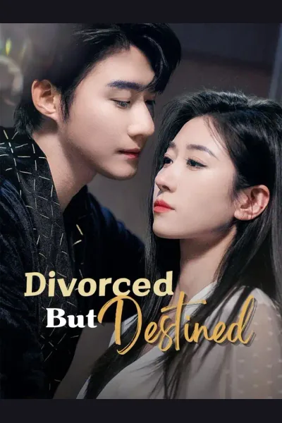 Póster de Divorced But Destined